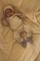 BOOTIES LILAC 8 __ EAN 5404027802794 +5404027802800.jpg