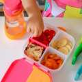 mini lunchbox_IMG_3468.jpg