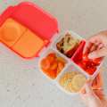 mini lunchbox_1.jpg