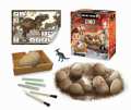 2138-Contenu-BOX.jpg