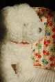 mood_ks102079-s00026_1.jpg