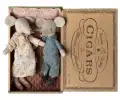COLOURBOX69924884.webp