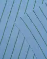 HARRY LIGHT BLUE- GRASS (3).jpg